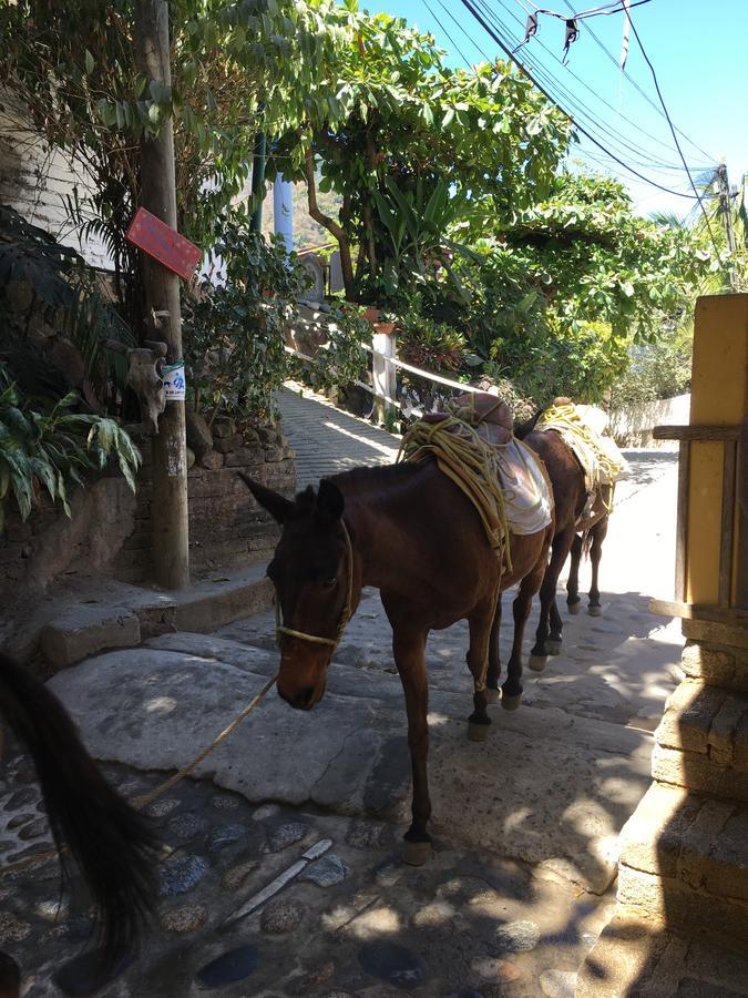 Casa Berita Villa Yelapa Buitenkant foto